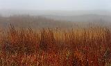 Mustang Island In Fog_42402